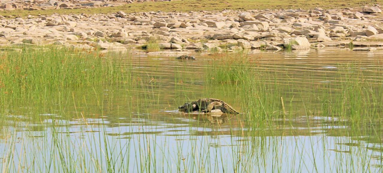 Bhadrawati - A Riverside Safari Lodge Ranthambore Dış mekan fotoğraf