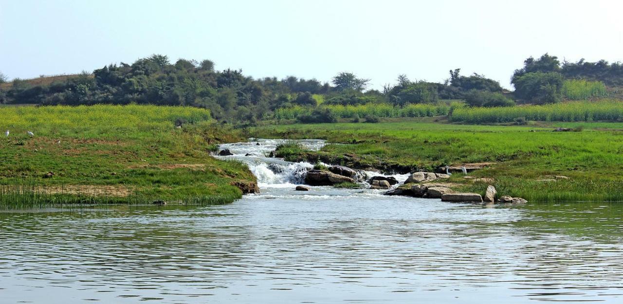 Bhadrawati - A Riverside Safari Lodge Ranthambore Dış mekan fotoğraf